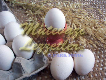 Yumurta (fotoğraf)