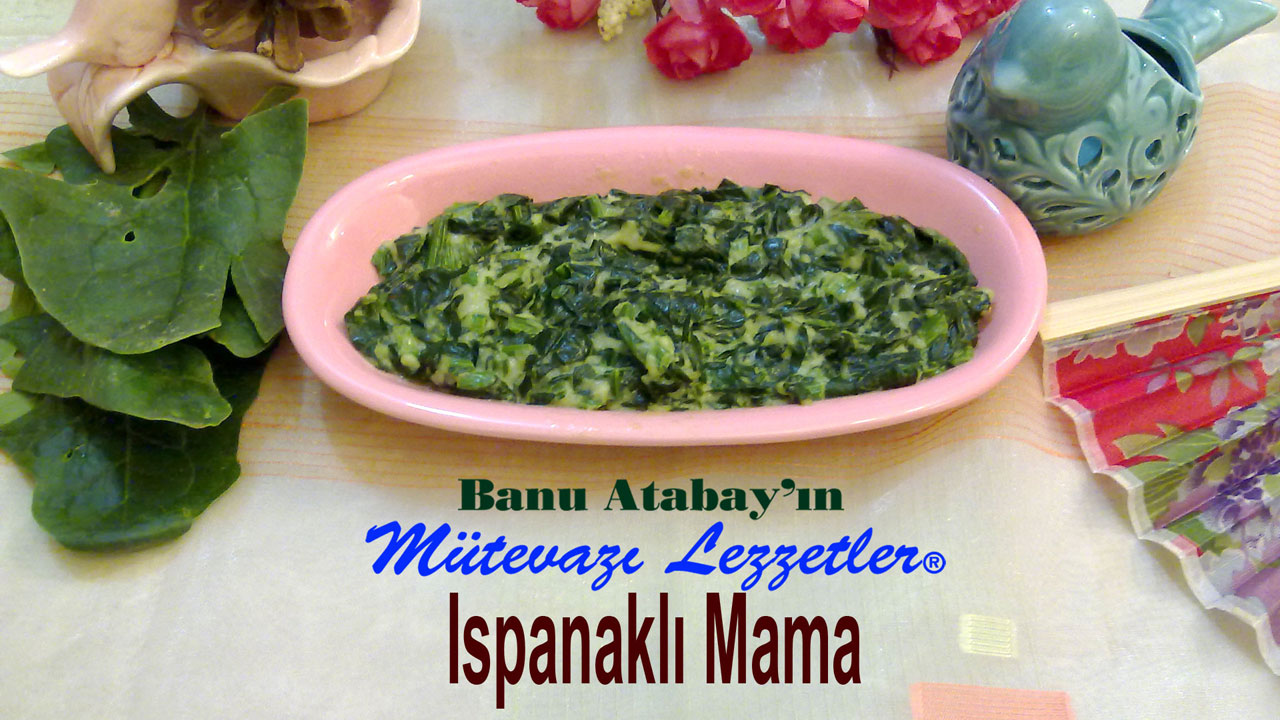 Ispanaklı Mama (görsel)