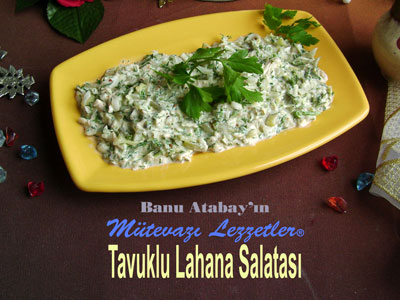 Tavuklu Lahana Salatası (görsel)