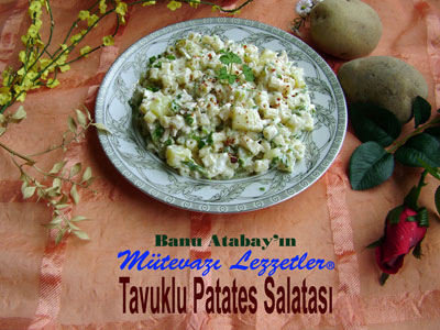 Tavuklu Patates Salatası (görsel)